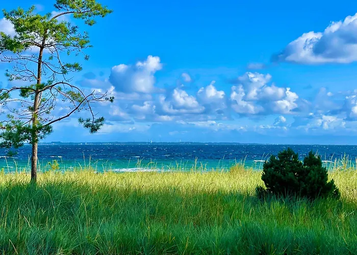 Appartement Goldmaedchen 93 - *